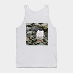 Gentoo penguin chick Tank Top